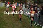 Girls under-15s, 2016 National Cross Country Relays, Berry Hill Park, Mansfield. Photo: David T. Hewitson/Sports for All Pics